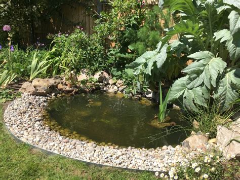 How To Build A Wildlife Pond :: Part 2 – the small gardener