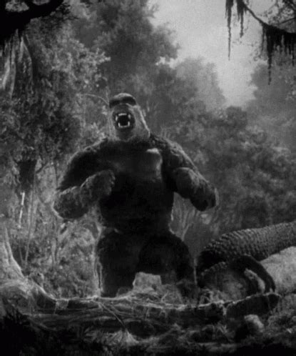 King Kong GIF – King Kong King Kong – GIFs entdecken und teilen