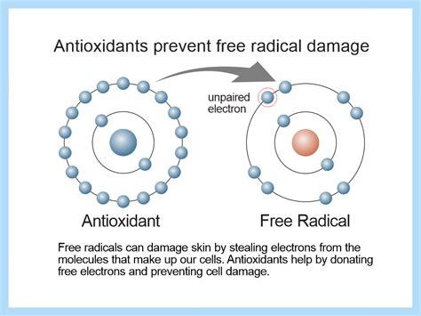 Free Radical Damage of Skin - Medical Detective MD