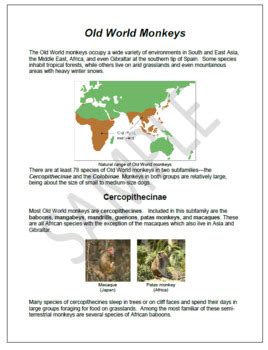 New World Monkeys vs. Old World Monkeys Poster Activity by SciLee ...