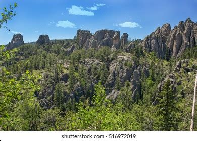 13,017 Black hills national forest Images, Stock Photos & Vectors ...