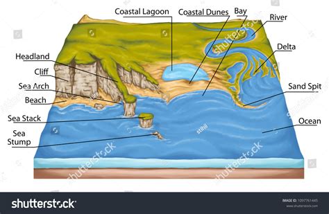 Types Continental Landform Coastal Landforms Coastal庫存插圖 1097761445 | Shutterstock