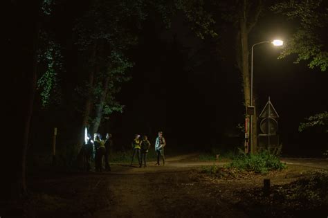 A Peculiarly Dutch Summer Rite: Children Let Loose in the Night Woods ...