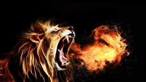 Fire Lion Wallpaper Hd 3d - Animated Fire Desktop Wallpaper (51+ Images) | goawall