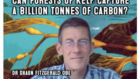 Podcast: Can Kelp Forests Capture a Billion Tonnes of Carbon? – Kelp Forest Foundation