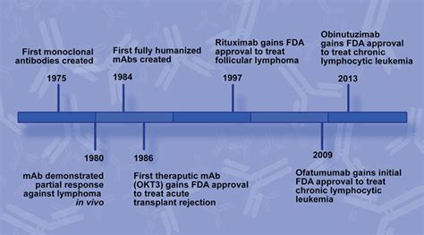 Frontiers | Past, Present, and Future of Rituximab—The World’s First Oncology Monoclonal ...