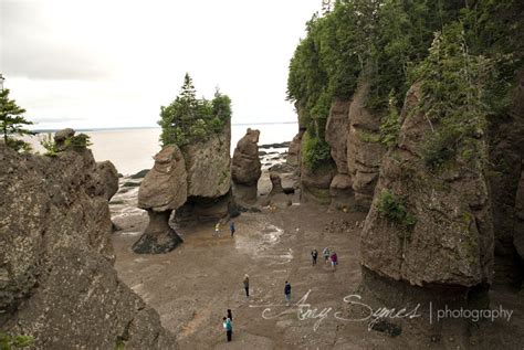 Bay of Fundy, Nova Scotia. This place is most amazing. When the tide is ...