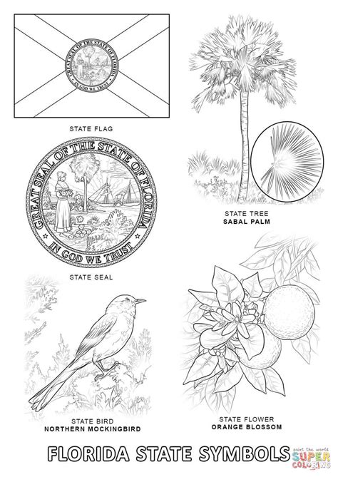 Florida animals coloring pages download and print for free