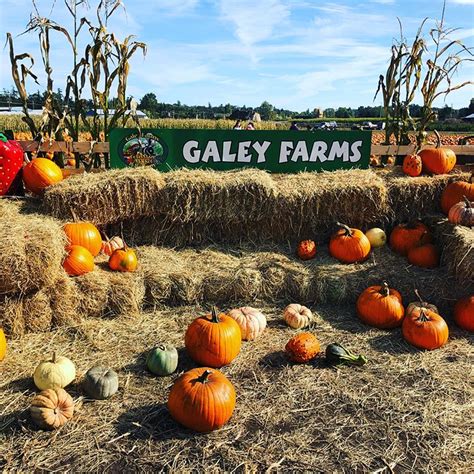 Galey Farm CarnEvil Festival – Bad Ox Band