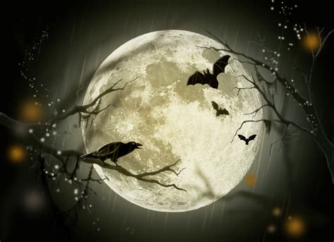 Halloween Free Stock Photo - Public Domain Pictures