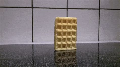 Waffle falling over animated gif