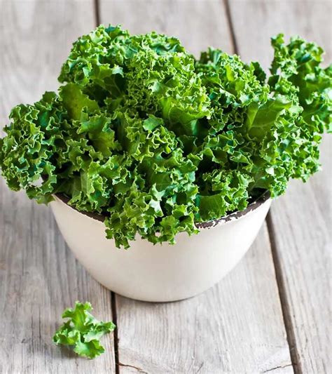 16 Benefits Of Kale, Nutrition, Recipes, Uses, And Risks