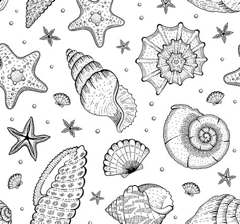 Sea Shell Patterns nature wallpaper