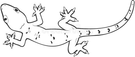 Lizard Stock Illustrations – 100,802 Lizard Stock Illustrations, Vectors & Clipart - Dreamstime