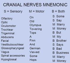 12 Best Cranial nerves mnemonic ideas | medical school studying ...