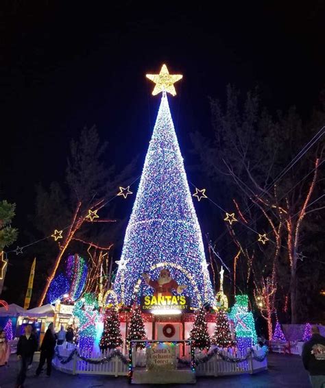 Christmas in Miami: 6 Best Ways to Celebrate the Holiday Spirit