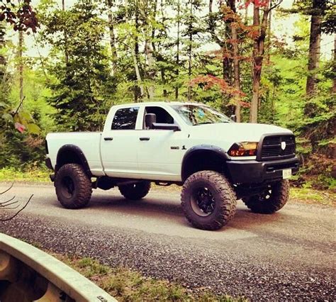 white lifted truck names - Izetta Blackman