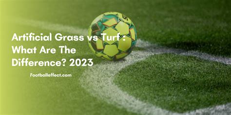 Artificial Grass vs Turf : What Are The Difference? 2023