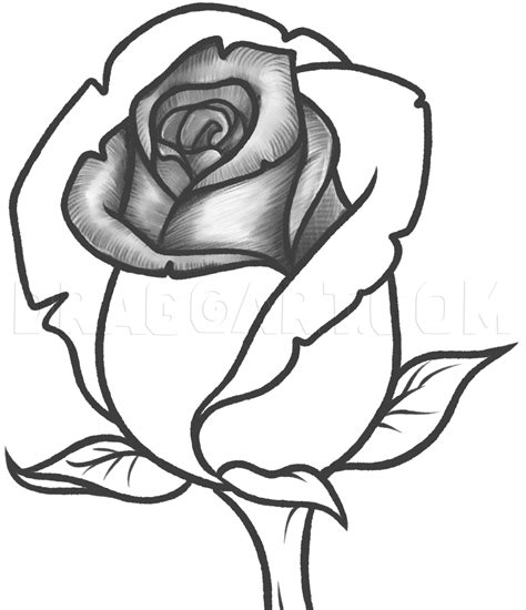 How To Draw A Rose Bud, Rose Bud, Step by Step, Drawing Guide, by Dawn ...