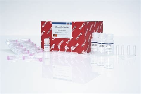 Qiagen Rneasy Plus Micro Kit