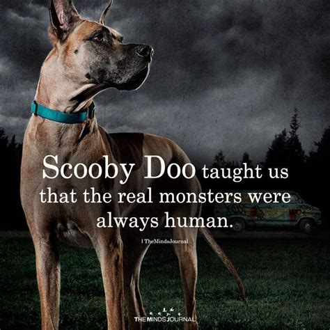 Scooby Doo | Scooby doo quotes, Cartoon quotes, Scooby doo pictures