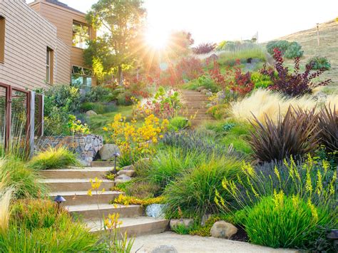 Best 10 Plants for Designing a Water Wise Landscape – Site Title