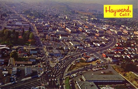 My hometown. Hayward, CA | Old postcards, Aerial, Aerial view