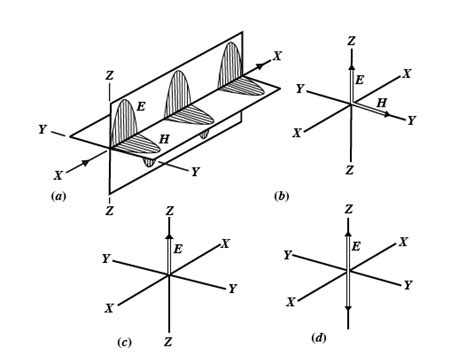 Polarization - Spectrum Scientific, Inc.