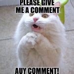 Begging Cat Meme Generator - Imgflip