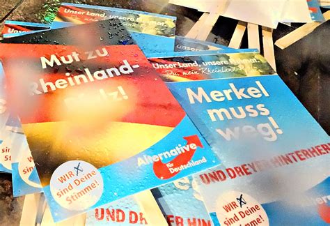 The AfD in the Run-up to the 2021 German National Election – AGI