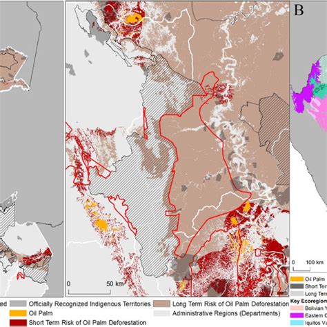 (A) Map depicting long-term risk of deforestation for oil palm ...