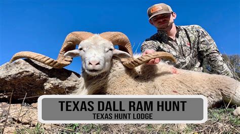 Texas Dall Ram Hunting at Texas Hunt Lodge - Father/Son Ram Hunt - YouTube