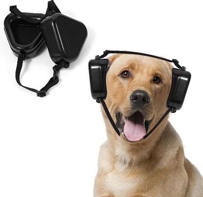 Dog Noise Cancelling Headphones to Keep them Calm