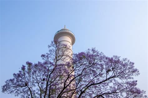 Premium Photo | Kl tower