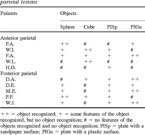 Tactile Agnosia | Semantic Scholar