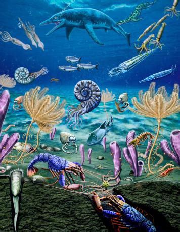 An Unexpected Early Triassic Marine Ecosystem Discovered