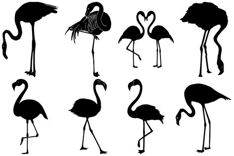 Flamingo Vector & Silhouettes AI EPS PNG (273263) | Illustrations | Design Bundles