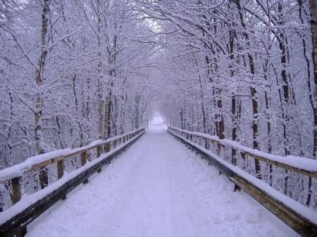 Winter Bridge - Winter & Nature Background Wallpapers on Desktop Nexus (Image 2307364)