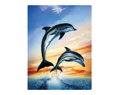 Leaping Dolphins