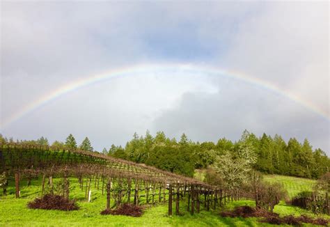 10 Must-Visit Calistoga Wineries - WineCountry.com