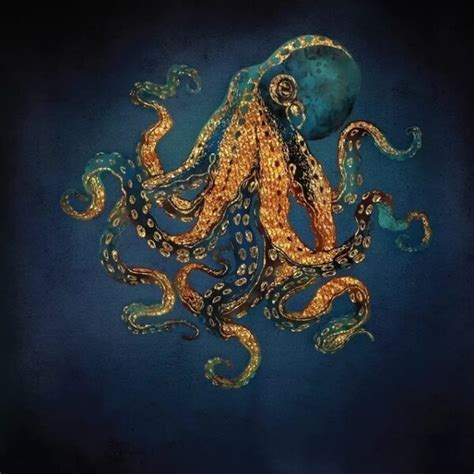 Octopus Habitat