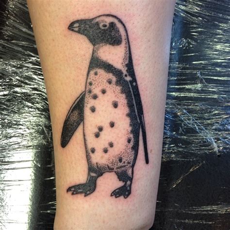 Great penguin pictures - Tattooimages.biz