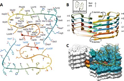 Amyloid-type Protein Aggregation and Prion-like Properties of Amyloids | Chemical Reviews