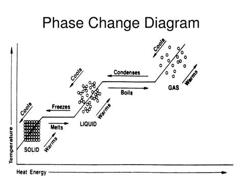 phase diagram of water worksheet