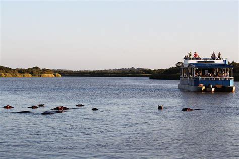 Top 10 Facts St Lucia Wetland Park - Discover Walks Blog