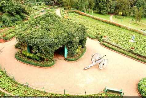 Ooty, Ooty botanical Garden, Nilgiri hills, Ooty Railway, Nature of Ooty
