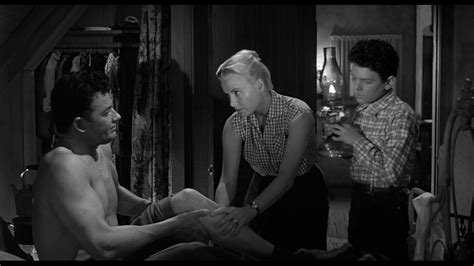 Film Noir Board: STORM FEAR (1955)