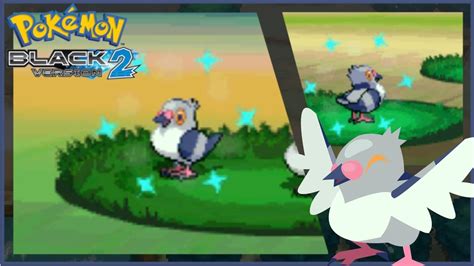 (LIVE) FULL ODDS Shiny Pidove in Pokemon Black 2 - YouTube