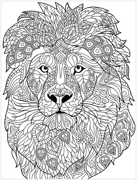 Lion and complex patterns - Lion Coloring Pages for adults