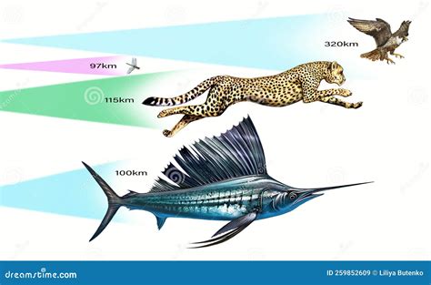 The Fastest Animals on the Planet Stock Illustration - Illustration of scheme, planet: 259852609